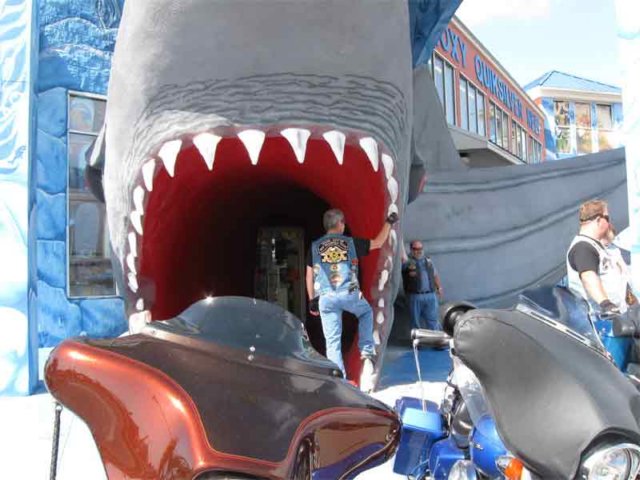 howardattackedbyjaws.jpg