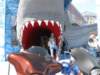 howardattackedbyjaws_small.jpg
