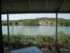 niceview_small.jpg