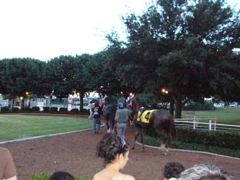Retama Races  (9)